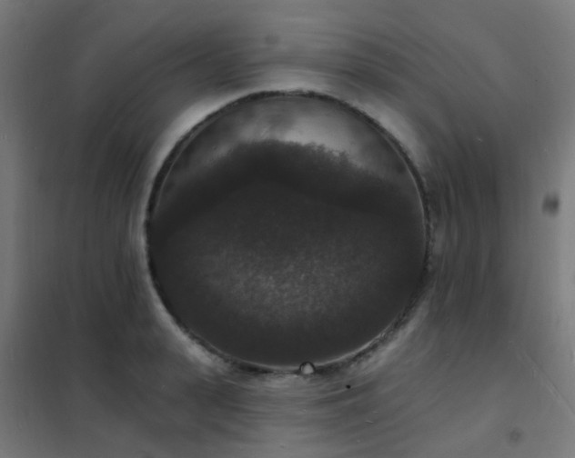X0000102230943200807251232