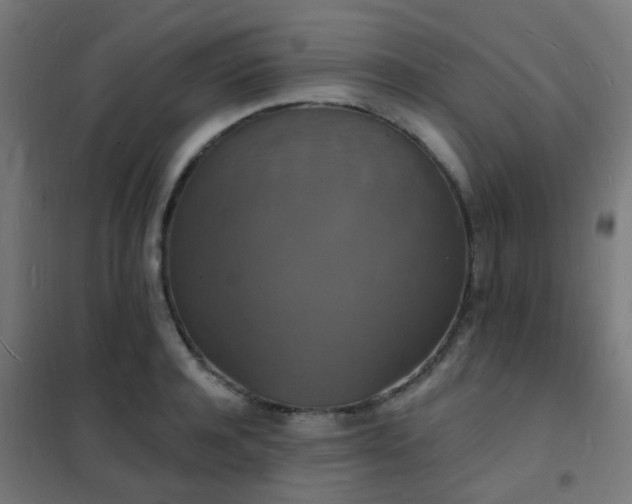 X0000102230944200807251232
