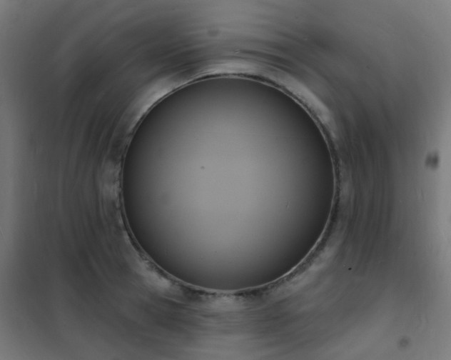 X0000102230945200807251232
