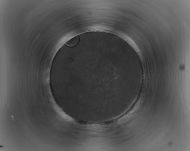 X0000102230946200807251232
