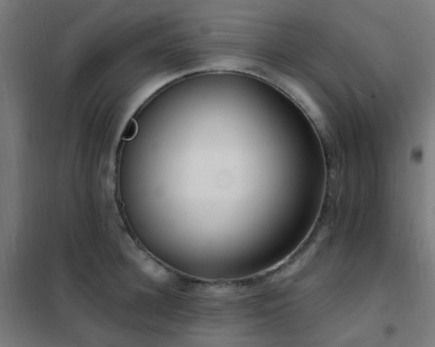 X0000102230948200807251232