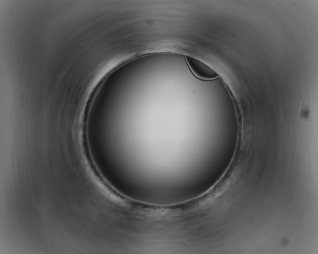 X0000102230949200807251232