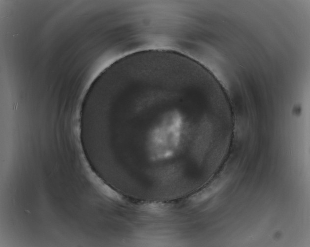 X0000102230950200807251232