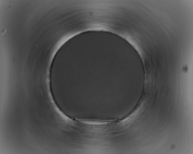 X0000102230951200807251232