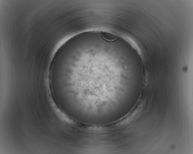 X0000102230952200807251232