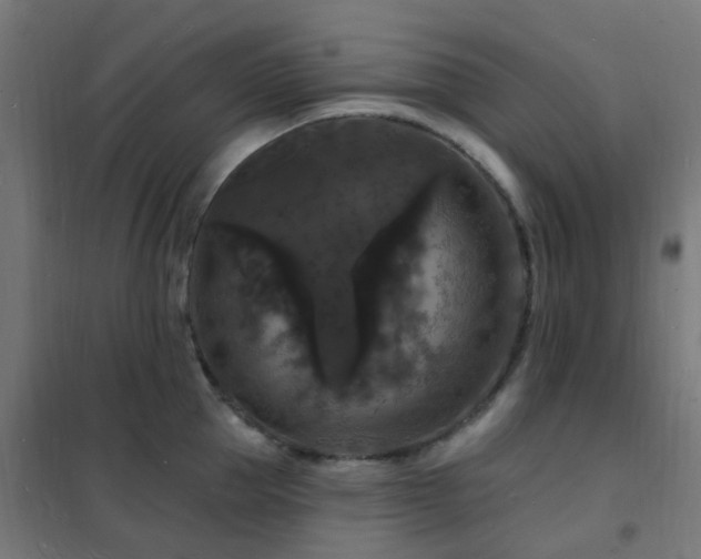 X0000102230953200807251232
