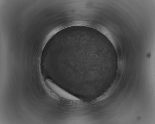 X0000102230954200807251232