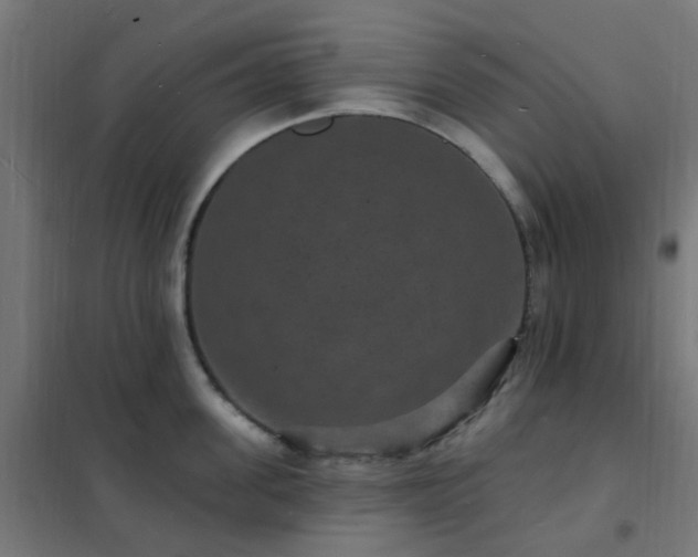 X0000102230955200807251232