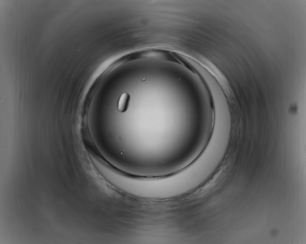 X0000102230956200807251232