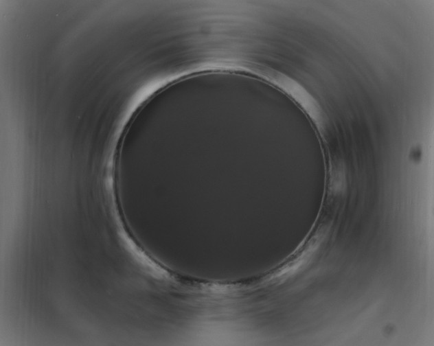 X0000102230958200807251232