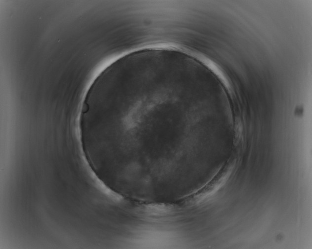 X0000102230959200807251232