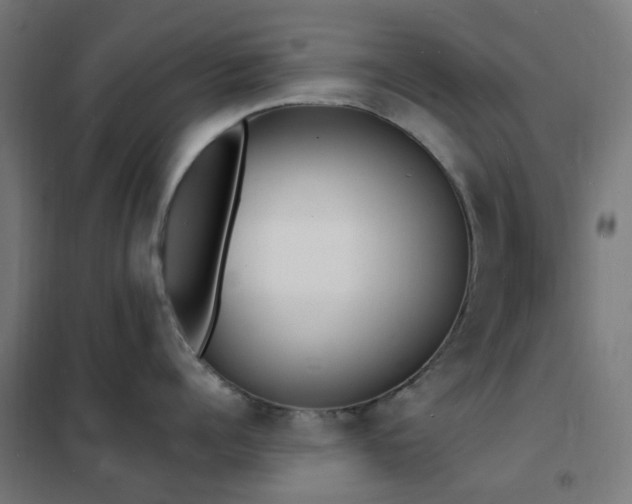 X0000102230960200807251232