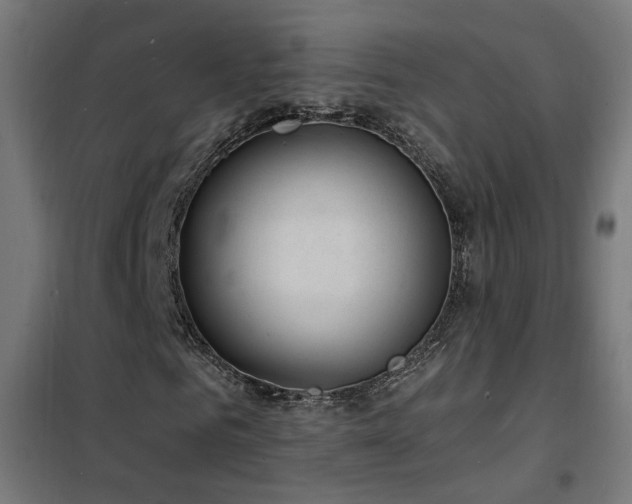 X0000102230961200807251231
