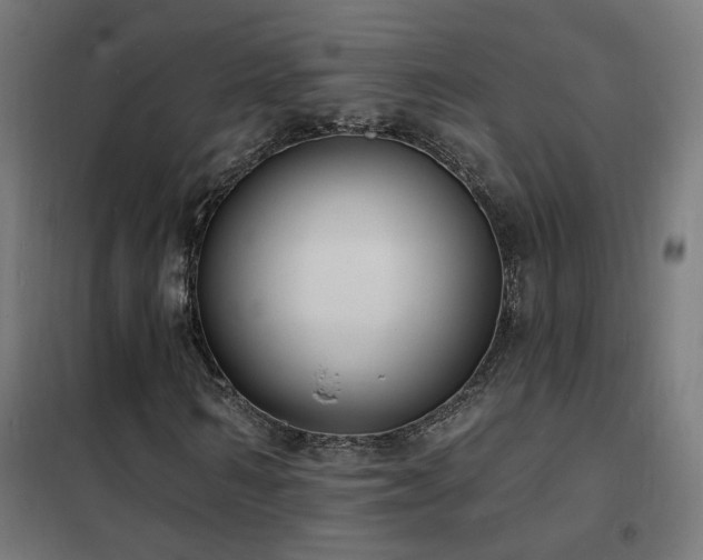 X0000102230962200807251231