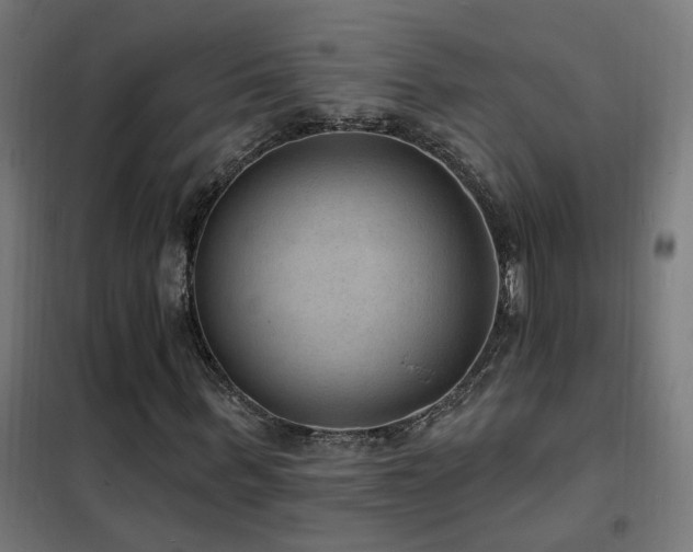 X0000102230963200807251231