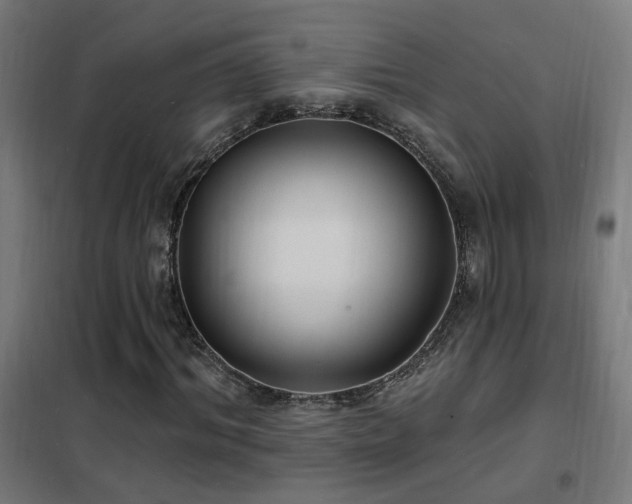 X0000102230964200807251231