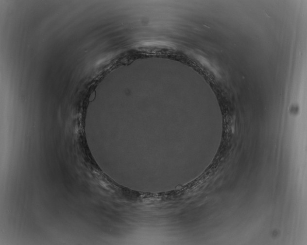 X0000102230965200807251231