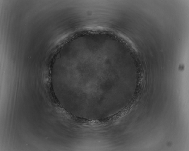 X0000102230966200807251231