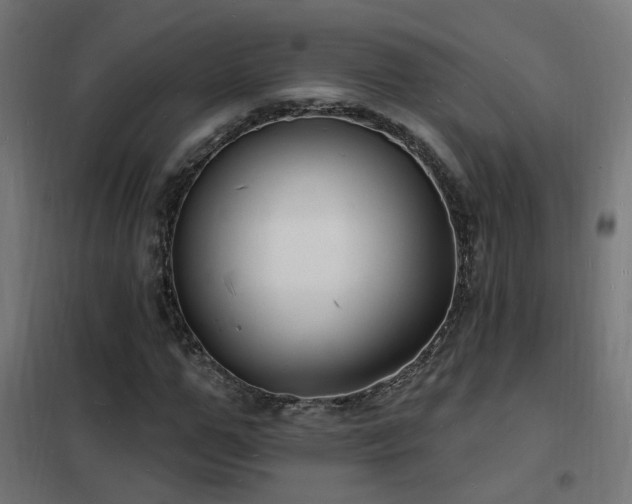 X0000102230967200807251231