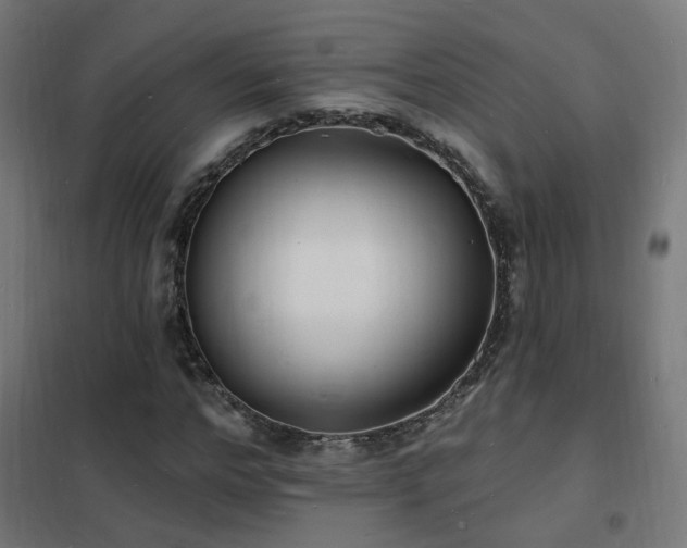 X0000102230968200807251231
