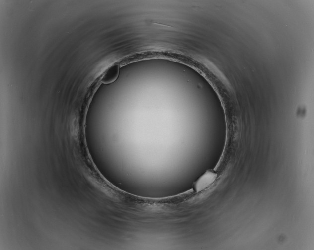 X0000102230969200807251231