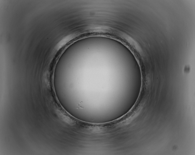 X0000102230970200807251231