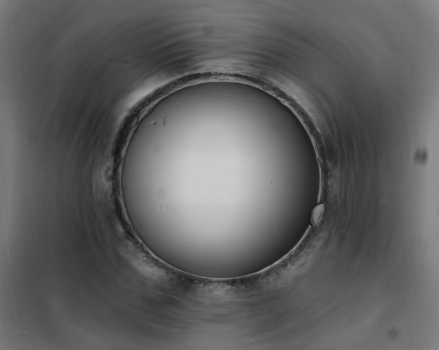 X0000102230971200807251231
