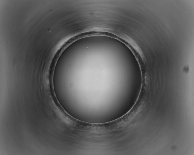 X0000102230972200807251231