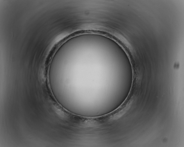 X0000102230974200807251231