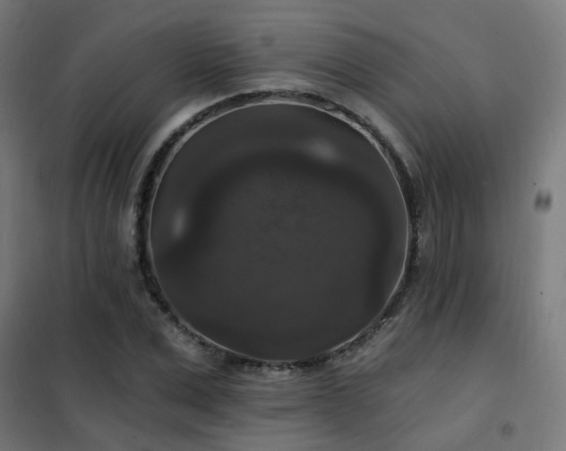 X0000102230975200807251231