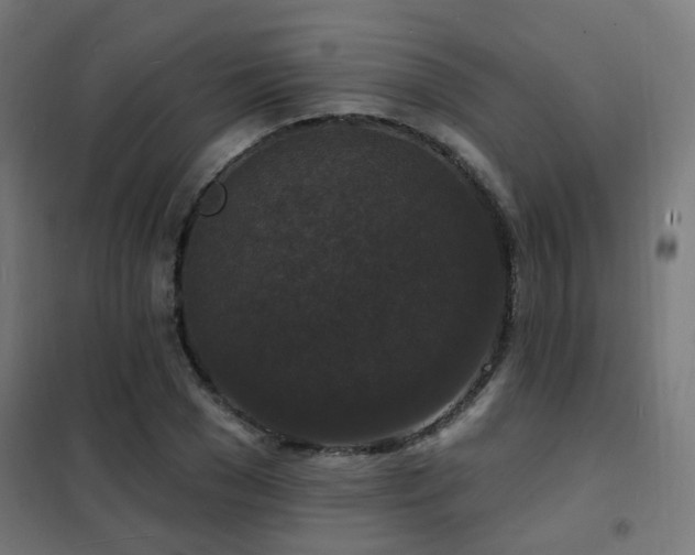 X0000102230977200807251231