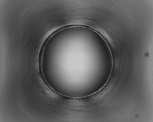 X0000102230980200807251231