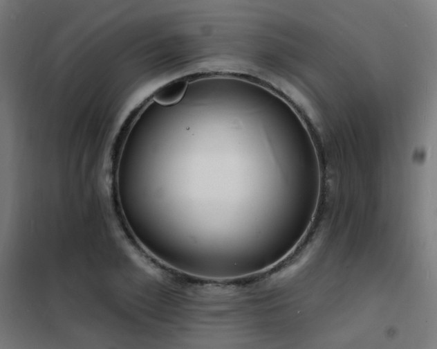 X0000102230981200807251231