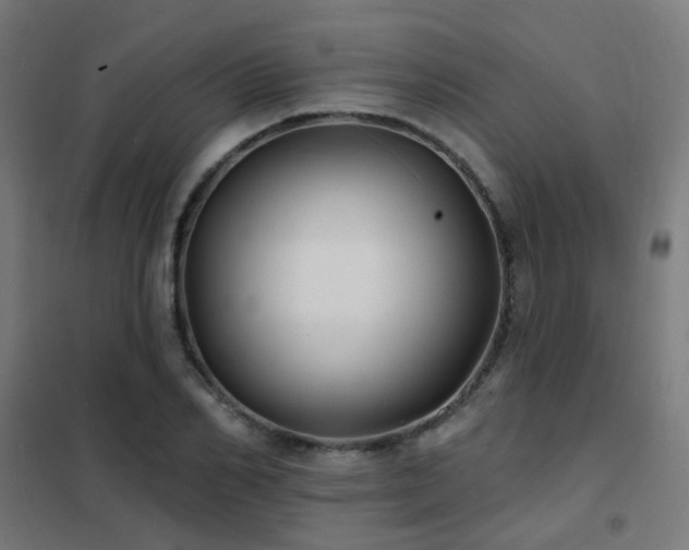 X0000102230982200807251231