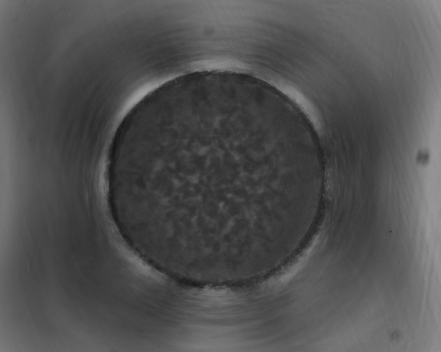 X0000102230983200807251231