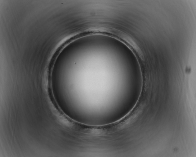 X0000102230984200807251231