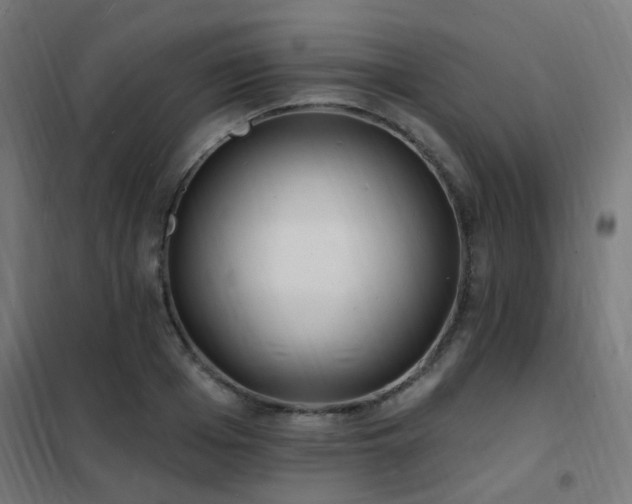X0000102230985200807251231