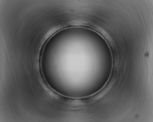 X0000102230986200807251231