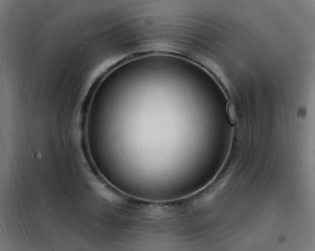 X0000102230987200807251231