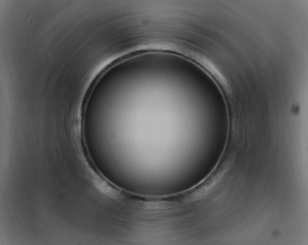 X0000102230988200807251231