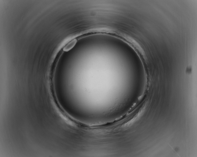 X0000102230989200807251231