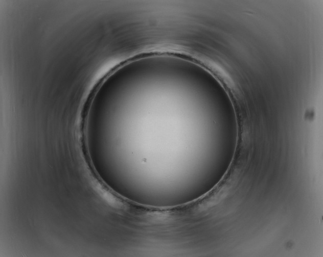 X0000102230990200807251231