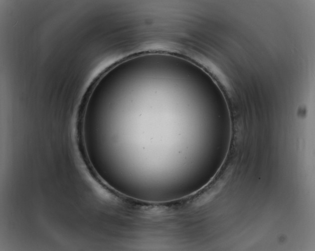 X0000102230991200807251231