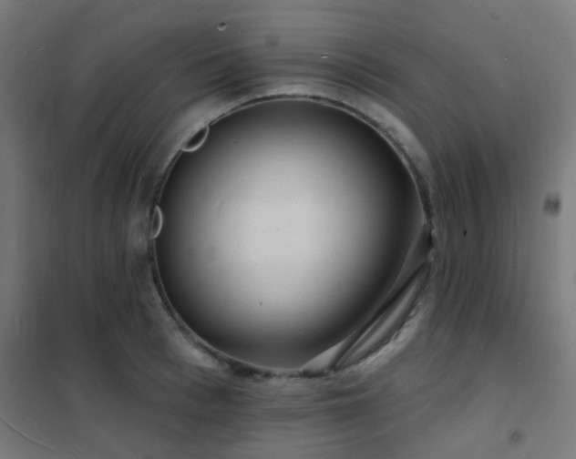 X0000102230993200807251231