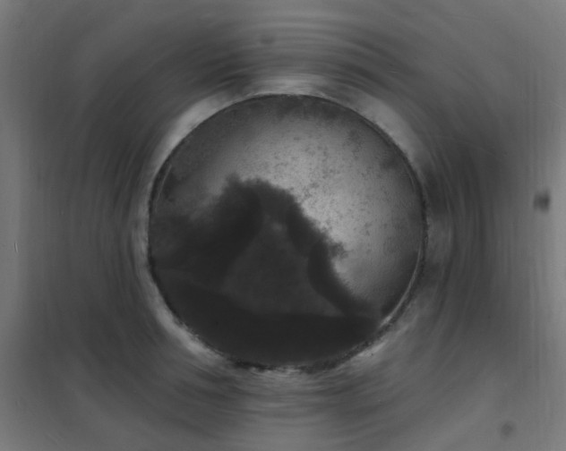 X0000102230994200807251231