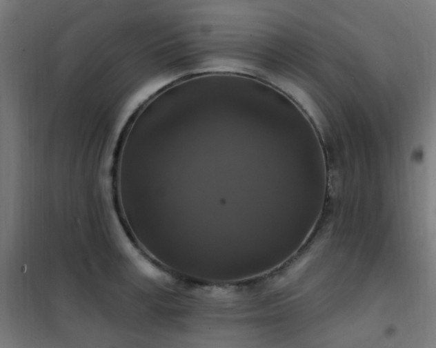 X0000102230995200807251231