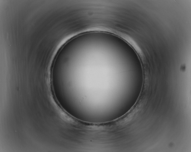 X0000102230996200807251231