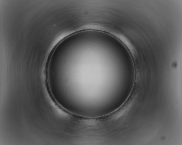 X0000102230999200807251231