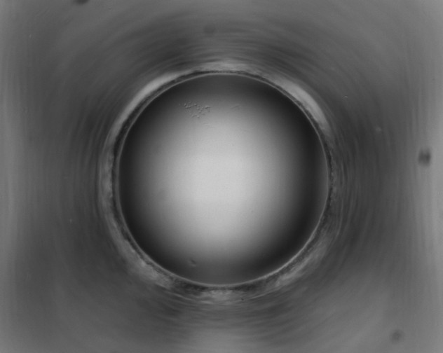 X0000102231000200807251231