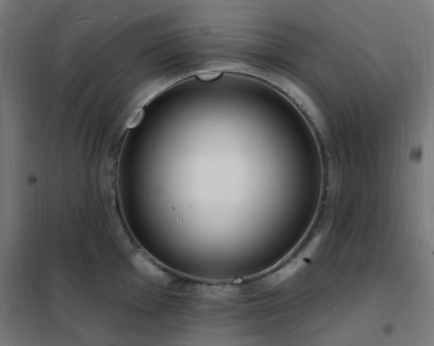 X0000102231001200807251231